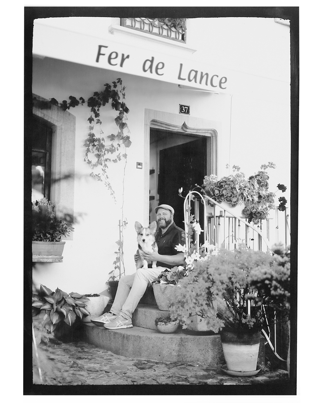 Fer de lance